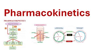 Pharmacokinetics ADME Absorption Distribution Metabolism Elimination [upl. by Dihsar52]