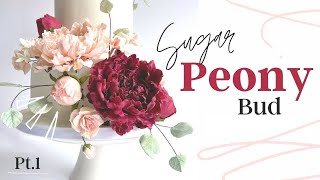 Sugar Peony Flower Tutorial  Making a Peony Bud  With Finespun Cakes [upl. by Moor]