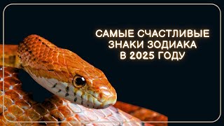 4 Знаков Зодиака которым сказочно повезет в 2025 году [upl. by Ignacia527]