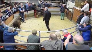 Bentham Auction Mart 29th May 2019 [upl. by Anaujat]