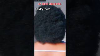 My type 4 hair in 3 States foryou shortsfeed viralvideo hairgrowth howtohairtrending what [upl. by Ardni540]