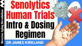 Senolytics Human Trials – Intro amp Dosing Regimen  Dr James Kirkland Interview Clips [upl. by Ursi]