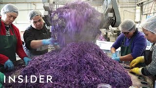 How Sauerkraut Is Made [upl. by Gilburt]