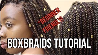 TUTORIAL  DETAILED SMALL TO MEDIUMSIZED BOXBRAIDS BEGINNER FRIENDLY [upl. by Deelaw297]