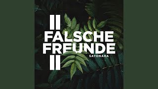 Falsche Freunde 2 [upl. by Ehrsam]