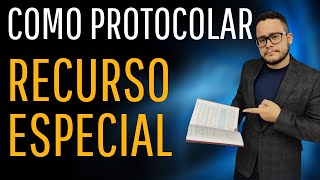 Como protocolar RECURSO ESPECIAL TJSP [upl. by Pascoe]