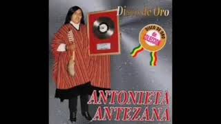 Antonieta antezana  contigo con el [upl. by Yuh961]