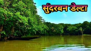 सुंदरबन डेल्टा के बारे में रोचक जानकारी  Sundarban delta ke bare mein jankari  Sundarban jungle [upl. by Enitsirk]