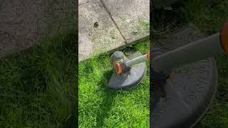 Cordless Strimmers Lightweight amp Easy To Use  Weve Tested Multiple To Find The Best [upl. by Crissy]