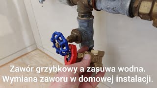 Zawór grzybkowy a zasuwa wodna Wymiana zaworu w domowej instalacji [upl. by Chimene]