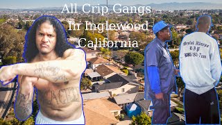 Inglewood Crip Gangs Surviving in a BloodDominated City [upl. by Larret]