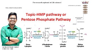 Hexose monophosphate Pathway orHMP Pathway [upl. by Irehc]