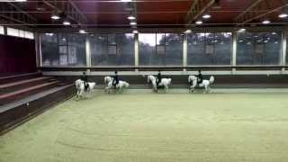 Performance of the classical riding school in Kobilarna Lipica Slovenia [upl. by Anahpets]