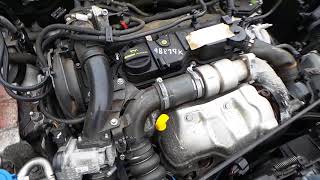 ford focus 2013 T1DB 16 tdci DIESEL ENGINE 98k Citreon Peugeot 2011  2017 T1DA [upl. by Fuhrman20]