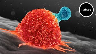 How to supercharge T cells against cancer [upl. by Nikolos]