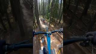 Loose on Moose  mtb shorts mountainbike shred [upl. by Atena]