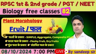 Fruit फल  Types of fruit फलो के प्रकार  RPSC 1st grade  RPSC 2nd grade  PGT [upl. by Anovahs]