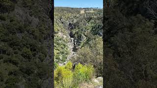 Bakers Creek Falls spot the feral goats by the pool at the bottom of the falls [upl. by Drahcir]