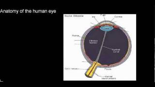 lecture 23 part 1 The human eye [upl. by Leynwad]