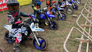 First ever PW50 motocross race Tom Arnold Madeley event  May 2023 [upl. by Schlicher]