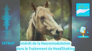 Headshaking chez les Chevaux  Connaissezvous ces 2 traitements [upl. by Assilev777]