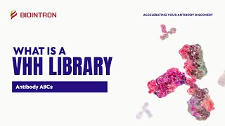 Antibody ABCs What is a VHH Library [upl. by Kenny]