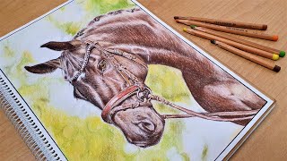 Realistic Horse Drawing art drawing  pastel pencils [upl. by Eyatnod192]