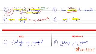 What are differences between the following  a Cartilaginous fishes and [upl. by Stevenson694]