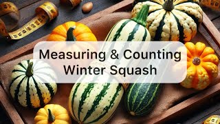 Winter Squash Harvest The Biggest Best for Pots Containers and Which Gave Most Fruits [upl. by Torrie281]