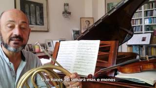 french horntrompaJavier BonetBrahms horn trio adagio mesto [upl. by Anoli]