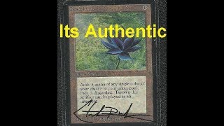 Christopher Rush Signature is Authentic on Beta Black Lotus [upl. by Nurav]