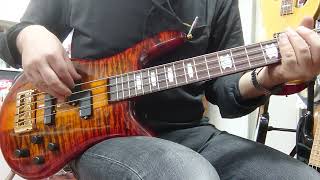 Spector Euro 4 LX Twilight Amber DEMO [upl. by Yerkovich395]