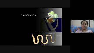 quotLife cycle of Taenia soliumquot [upl. by Trixi166]