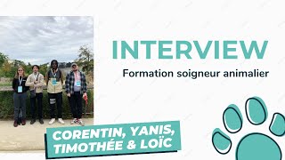 Interview de Corentin Yanis Timothée amp Loïc  en formation soigneur animalier [upl. by Dur22]