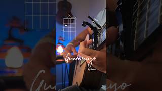 Guacamayo by Danit ✨🪶 fingerstyle guitar lesson guitarra musica music medicinesongs spiritual [upl. by Dhiren]