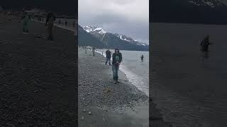 Seward Alaska Snagging red salmon alaska [upl. by Eiromem241]