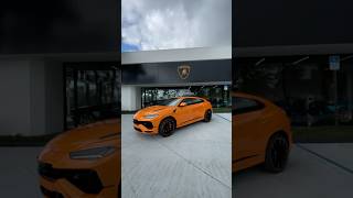 Gorgeous Urus S in Arancio Borealis LamboPalmBeach [upl. by Fiorenze]