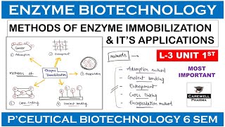 Methods Of Enzyme Immobilization  L3 U1  Pharmaceutical Biotechnology 6th sem [upl. by Carrew]