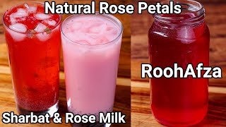 Homemade Rooh Afza Sharbat Premix  Refreshing Summer Drink 2 ways  Rose Sharbat amp Milk Sharbat [upl. by Ajiat]