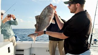 Offshore Fishing Naples Florida 60 Miles [upl. by Atinihs]