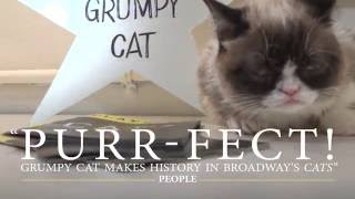 Grumpy Cat Joins CATS on Broadway [upl. by Firmin887]