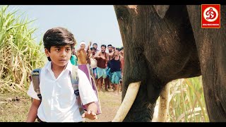 Rajabheema HD New Blockbuster Full Hindi Dubbed Action Movie  Arav Ashima Narwal Yashika [upl. by Festa]