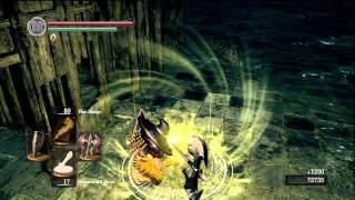 Dark Souls Dragon Scale Farming  No PVP [upl. by Hannazus]