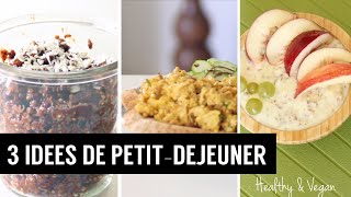 3 IDEES DE PETITDEJEUNER PRETS EN 5 MINUTES ET VEGAN [upl. by Ellenohs296]