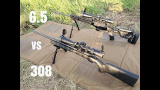 308 vs 65 creedmoor at 1000 yards [upl. by Haidabo117]