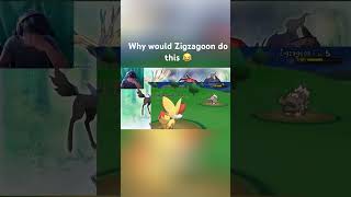 WHY WOULD ZIGZAGOON DO THIS 😂😂😂 pokemon [upl. by Phenice400]