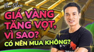 GIÁ VÀNG TRONG NƯỚC ĐANG TĂNG VỌT LIỆU XU HƯỚNG CÓ BỀN VỮNG CÓ NÊN MUA THÊM LÝ DO CÁCH THỨC MUA [upl. by Ahsoyek973]