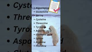 Polar vs NonPolar Amino Acids Natures Yin and Yang aminoacids biochemistry [upl. by Ettezel289]