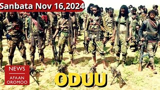 BBC ODUU AFAAN OROMOO  Sanbata Nov 162024  Oromo News  Daily Ethiopia news today OLA WBO [upl. by Joni]