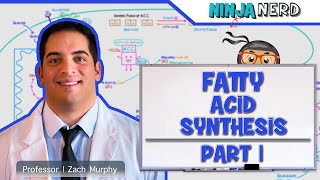 Metabolism  Fatty Acid Synthesis Part 1 [upl. by Baron174]